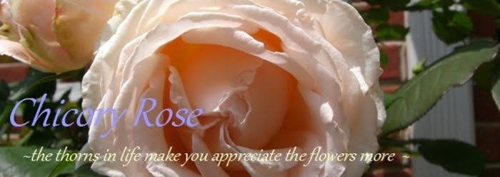 Chicory Rose