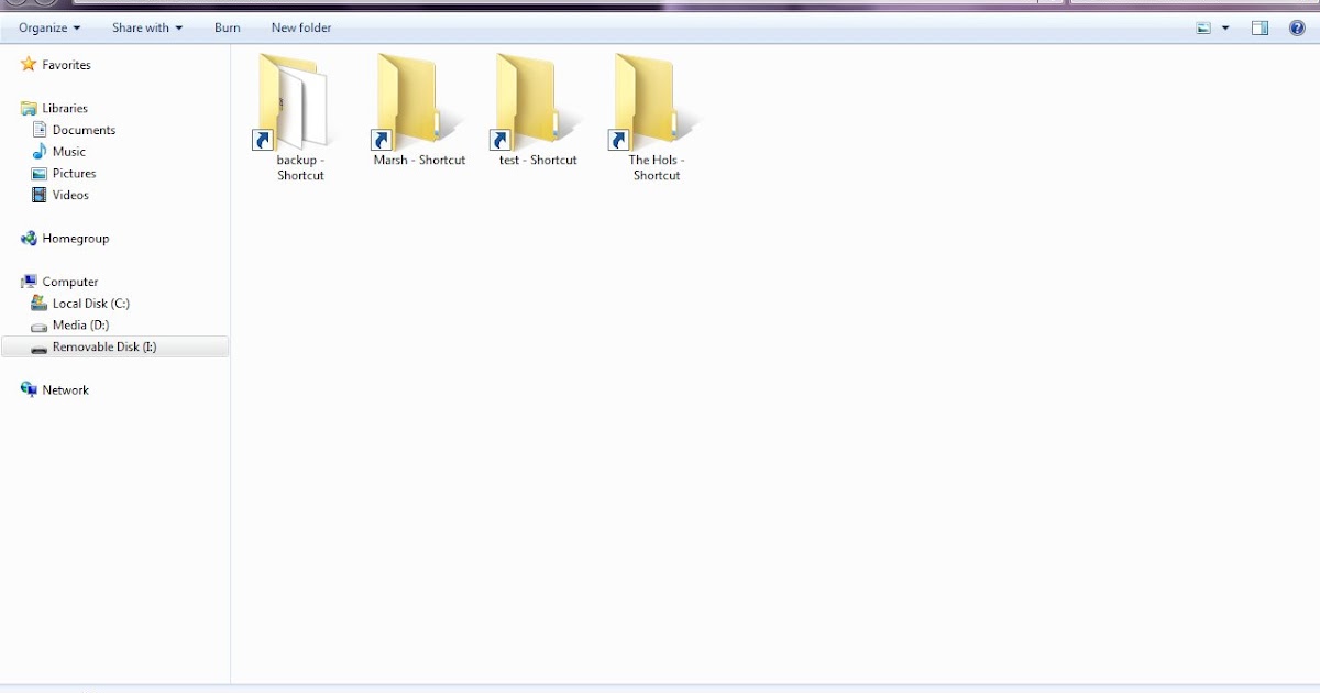 Technology In Life Why does my Flash drive contents turns into shortcut?