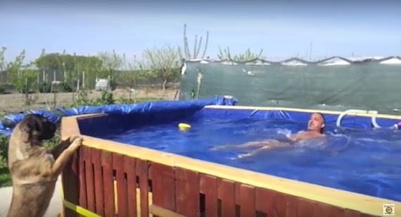 Como Construir Una Piscina Paso A Paso