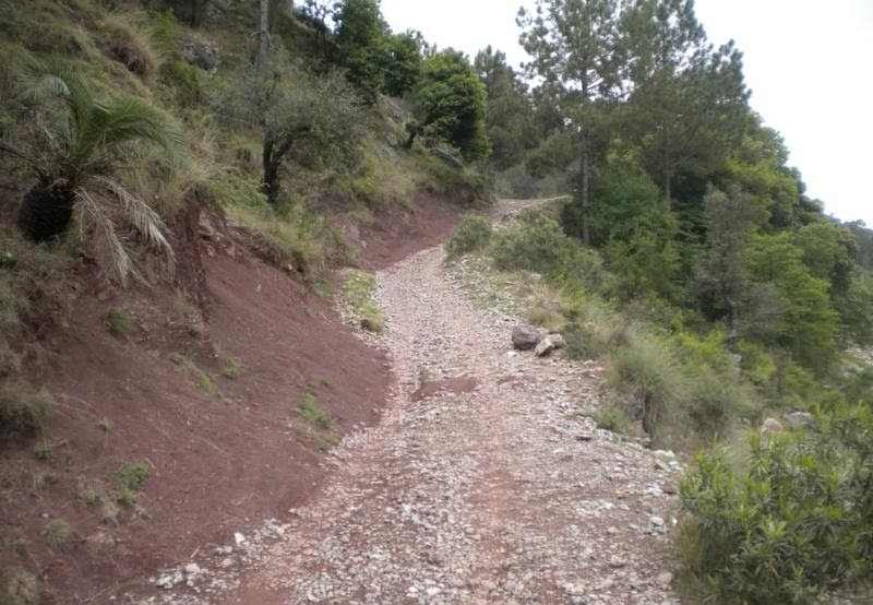 Mysterious Water Stream