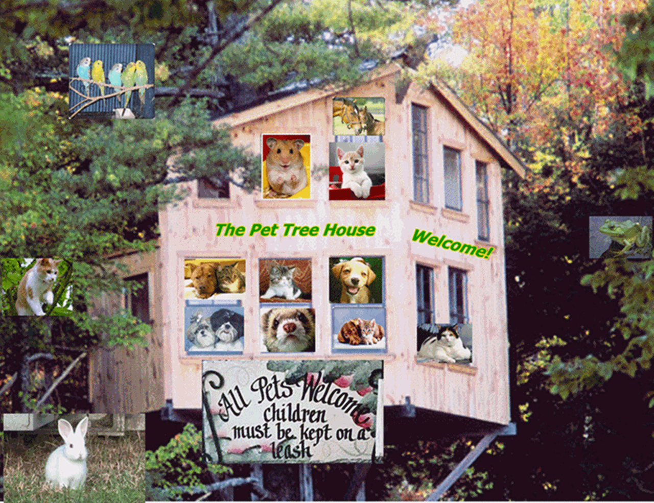 Everything Pets and Animals! Your Place for Information on Pets and