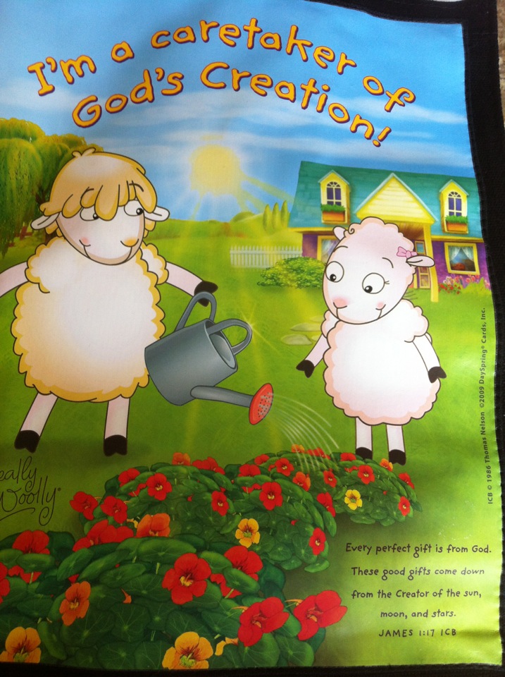 Steward of god creation essay picture