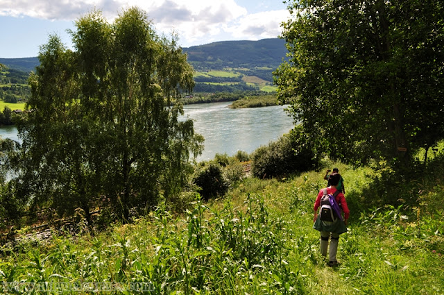 Camino de Nidaros