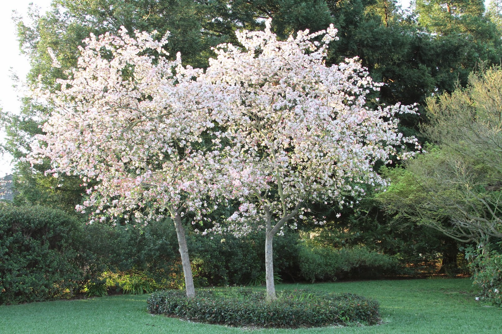 Picket Fences Magazine Spring 2016 By Bucks Country Gardens Issuu