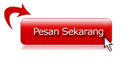 Cara Order Obat Penyakit Kanker Otak