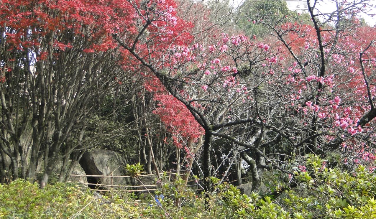 Funcionário em tempo integral na província de Shiga!! Trabalhe em