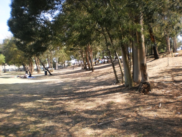 Parque Ecológico Gameiro