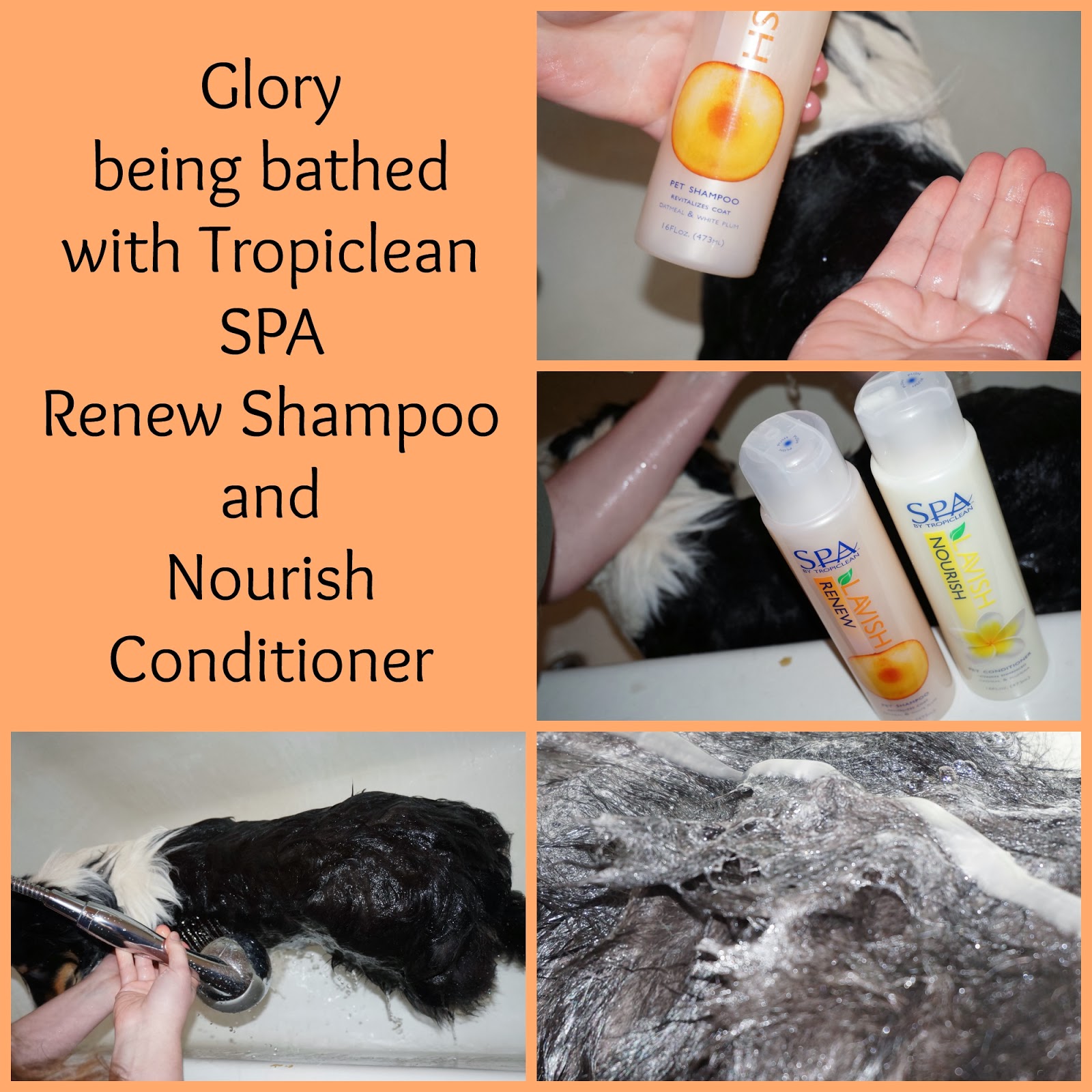 Hope's Cafe Tropiclean SPA Pet Shampoo Giveaway!! Petacular