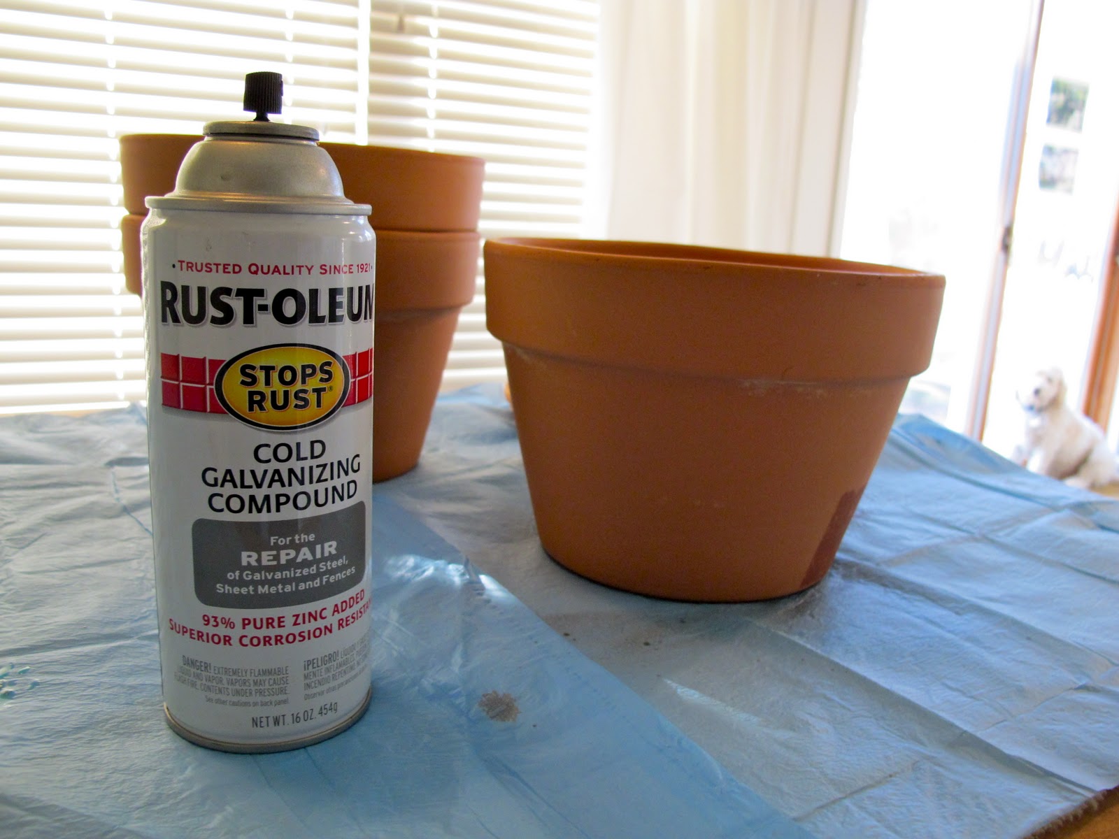 Jenny Steffens Hobick Herb Pots Zinc Spray Paint DIY Project