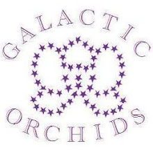 Galactic Orchids