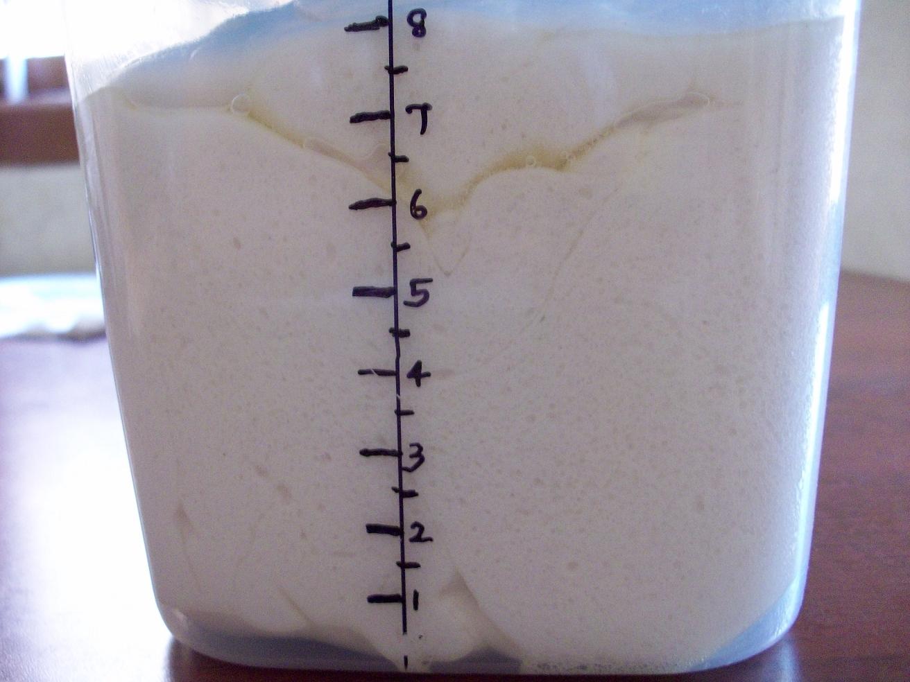 Cakes & More How To Tell At A Glance If My Bread Dough Has Doubled