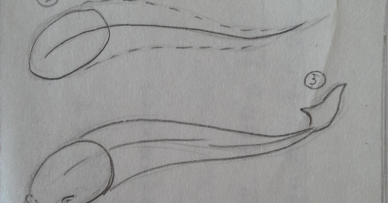 cara menggambar ikan