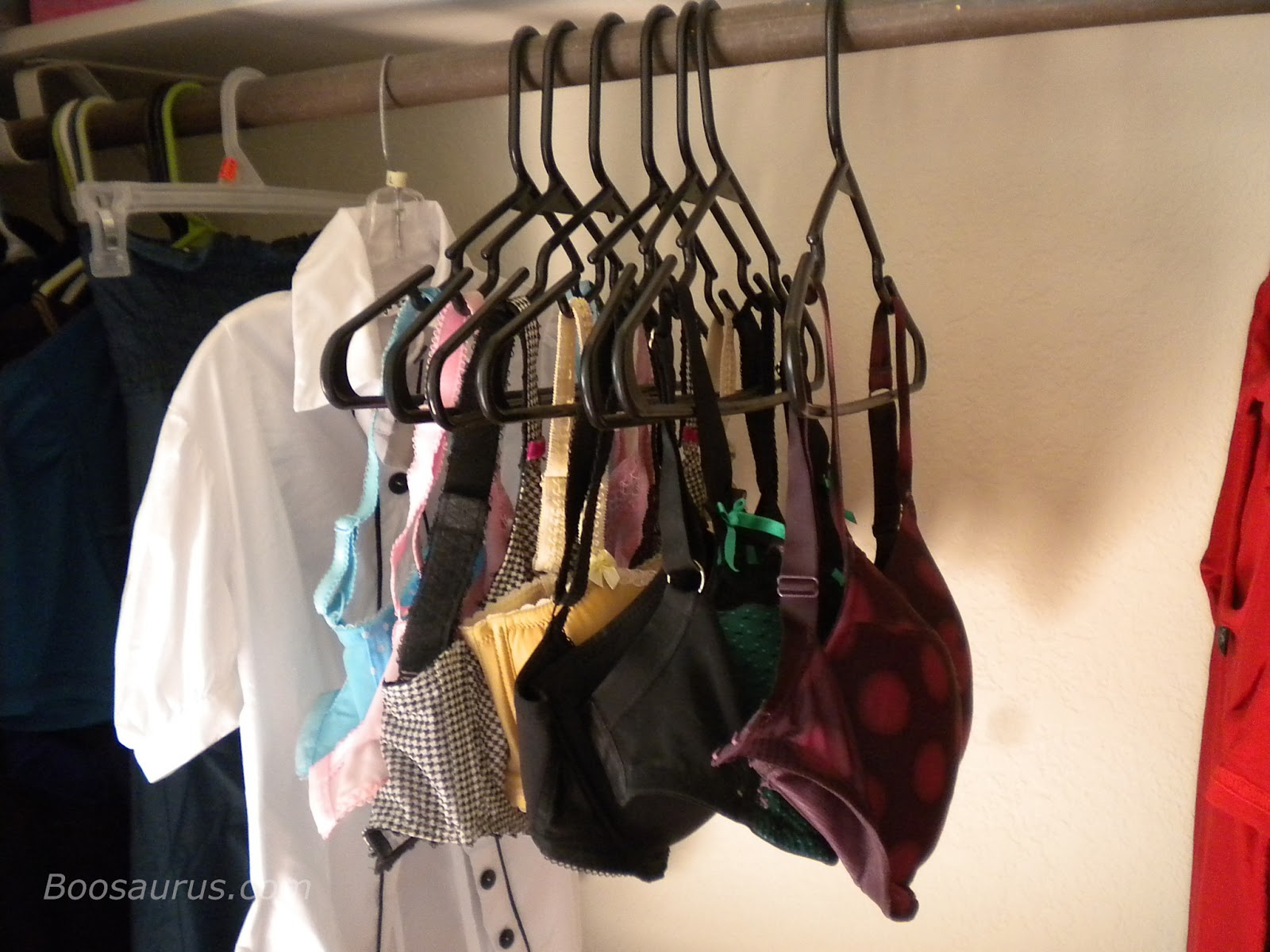 Boosaurus! Bra Storage Methods