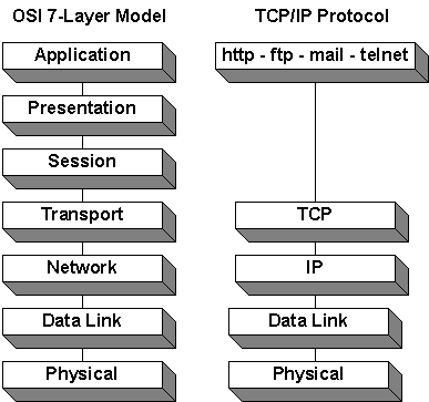 7 layer of networking