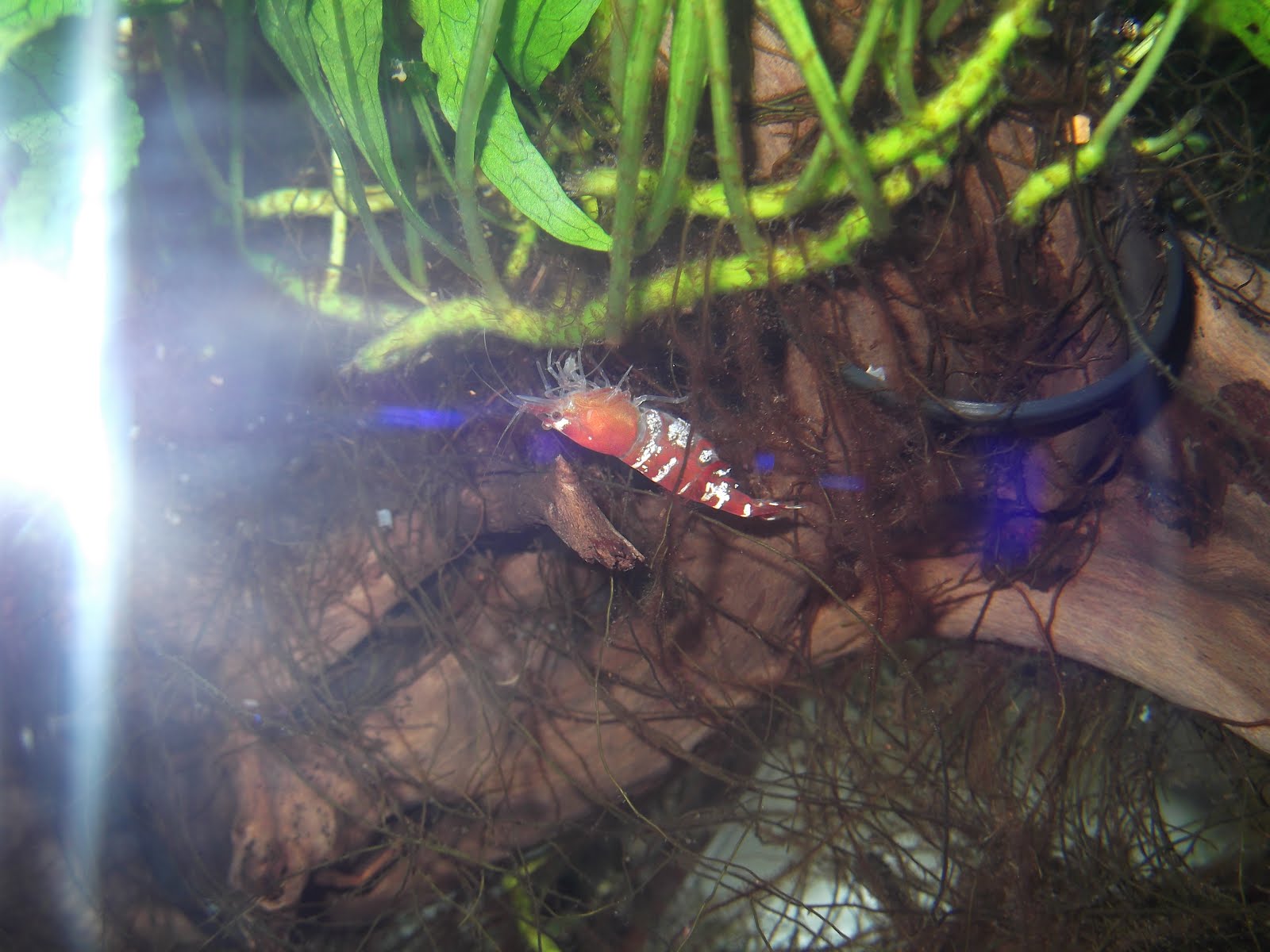 DSCF3838.JPG