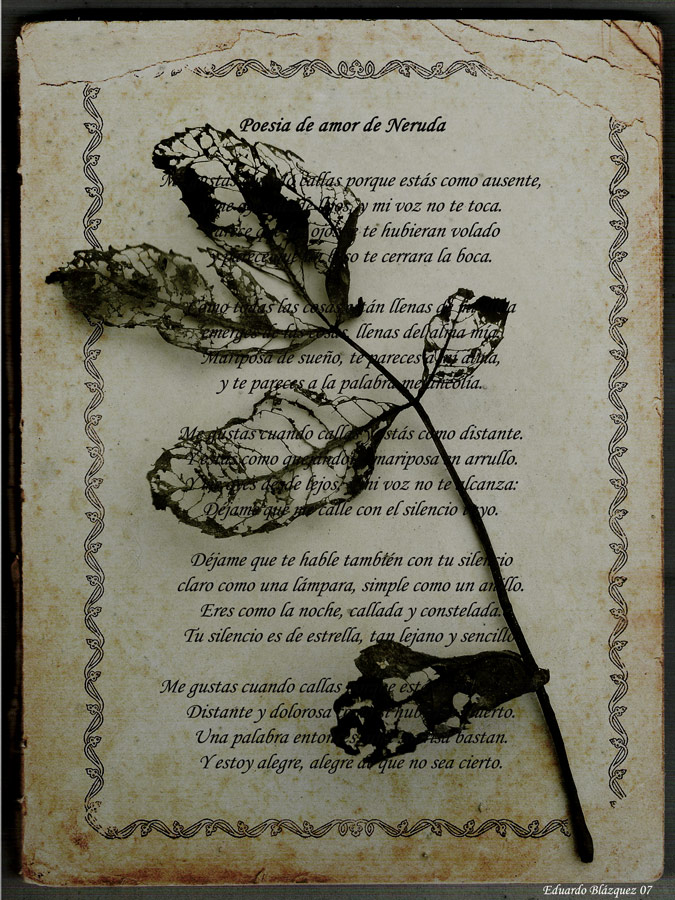 amor gif. poema de amor gif a