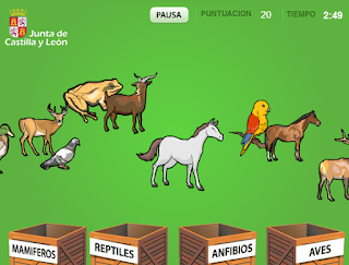Clasificar animales: mamíferos, reptiles, anfibios, aves - Juego online