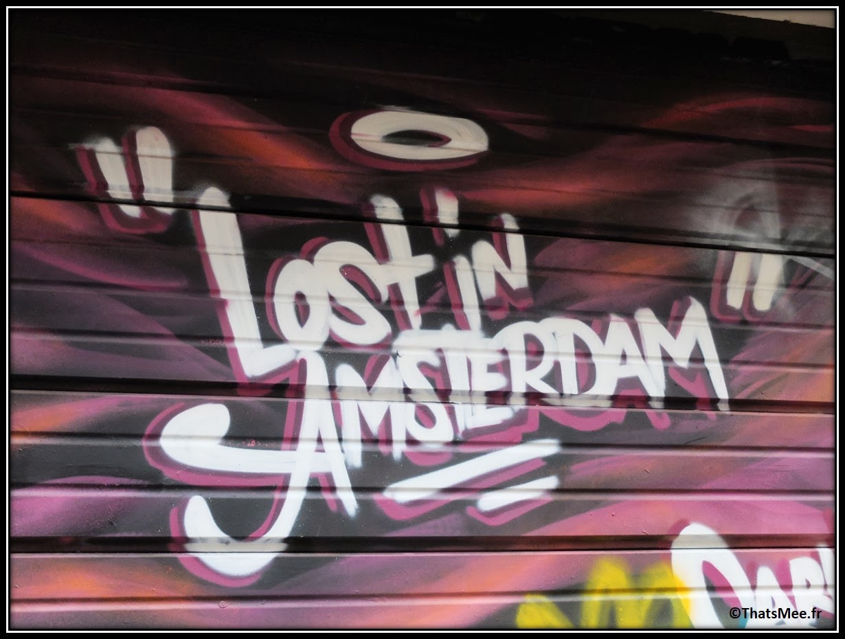 Street Art Lost in Amsterdam Graffiti tag wijdesteeg