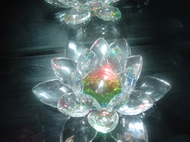 Flor De Loto Wallpaper Hd Imagui