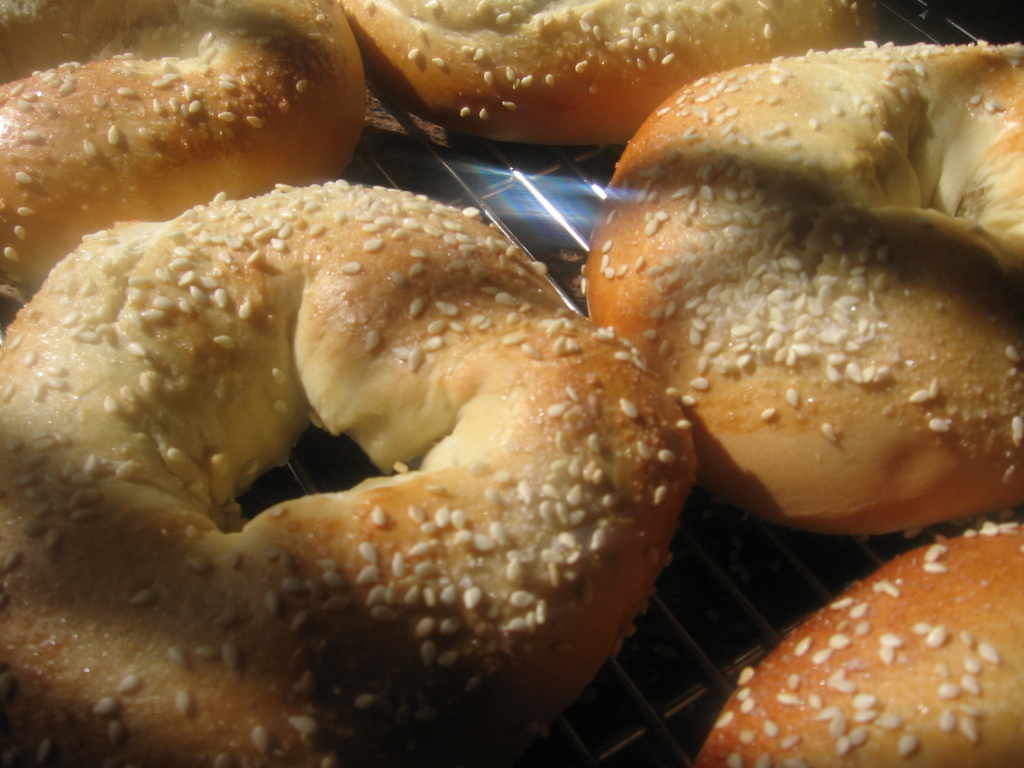 BreadMan Talking Closer to home Jerusalem Bagels