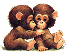 Animation Bundle: Monkey Animations and Gif Images Doing Funky and