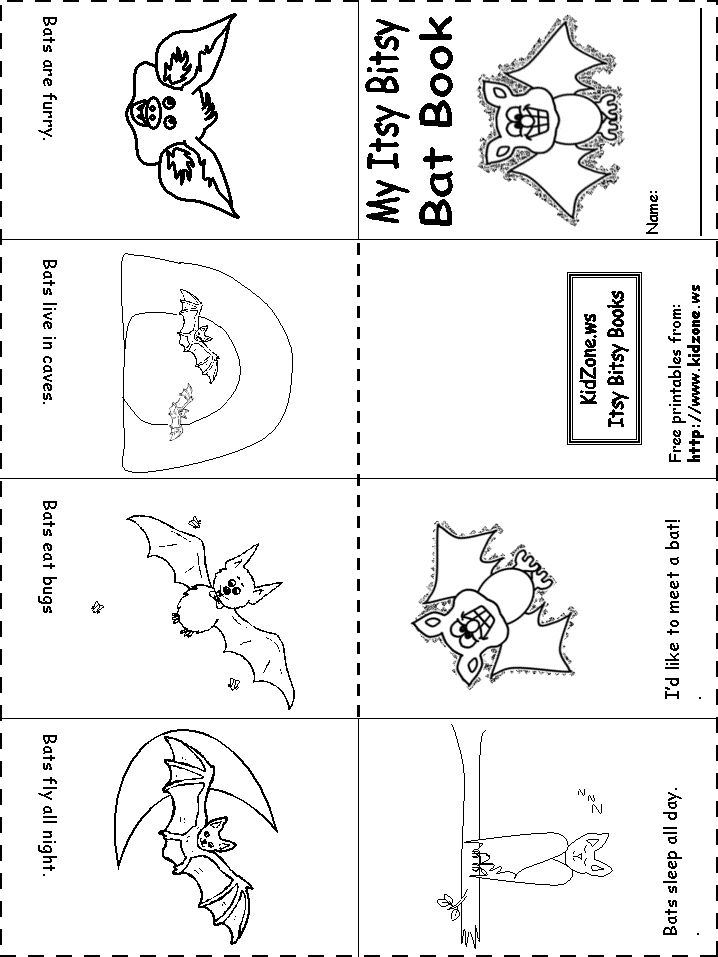Nocturnal animals fact sheet information