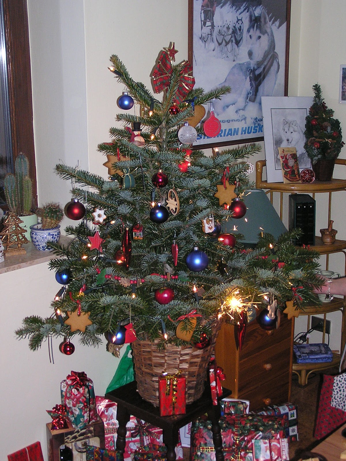 Katerina's Journal The Christmas Tree Thing The 6 Phases Of My