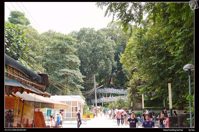 嘉義縣竹崎鄉親水公園萬竹博覽館-全新景點花仙子-天空步道啟用-千禧橋-弘景橋