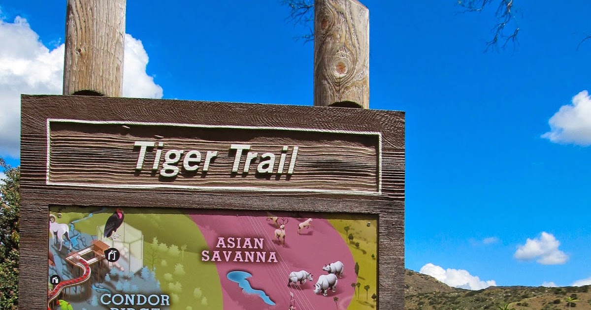 Life with Dylan Looking Back at Our Journey to Tiger Trail