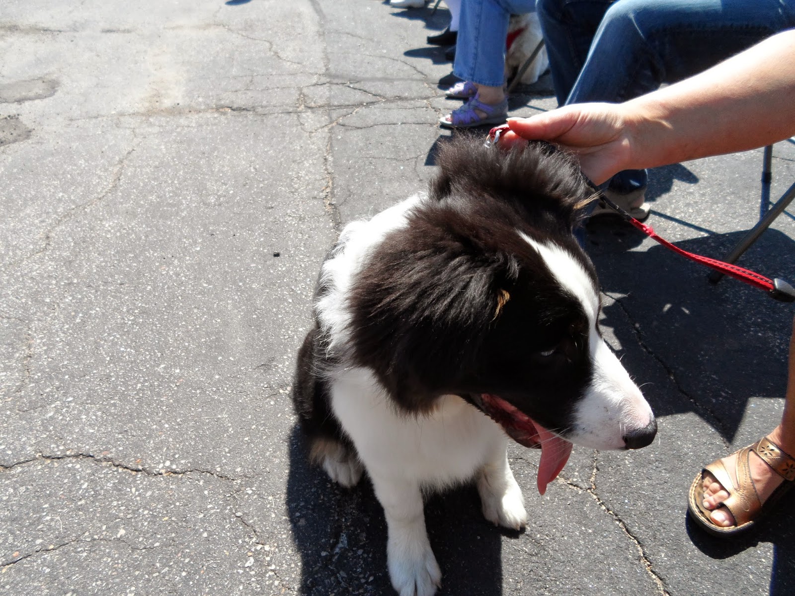 Oregon Area Senior Center Council on Aging 1st Oregon Area Senior