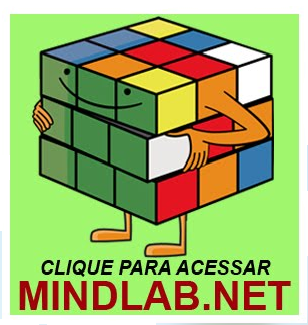 ---PORTAL MIND LAB---