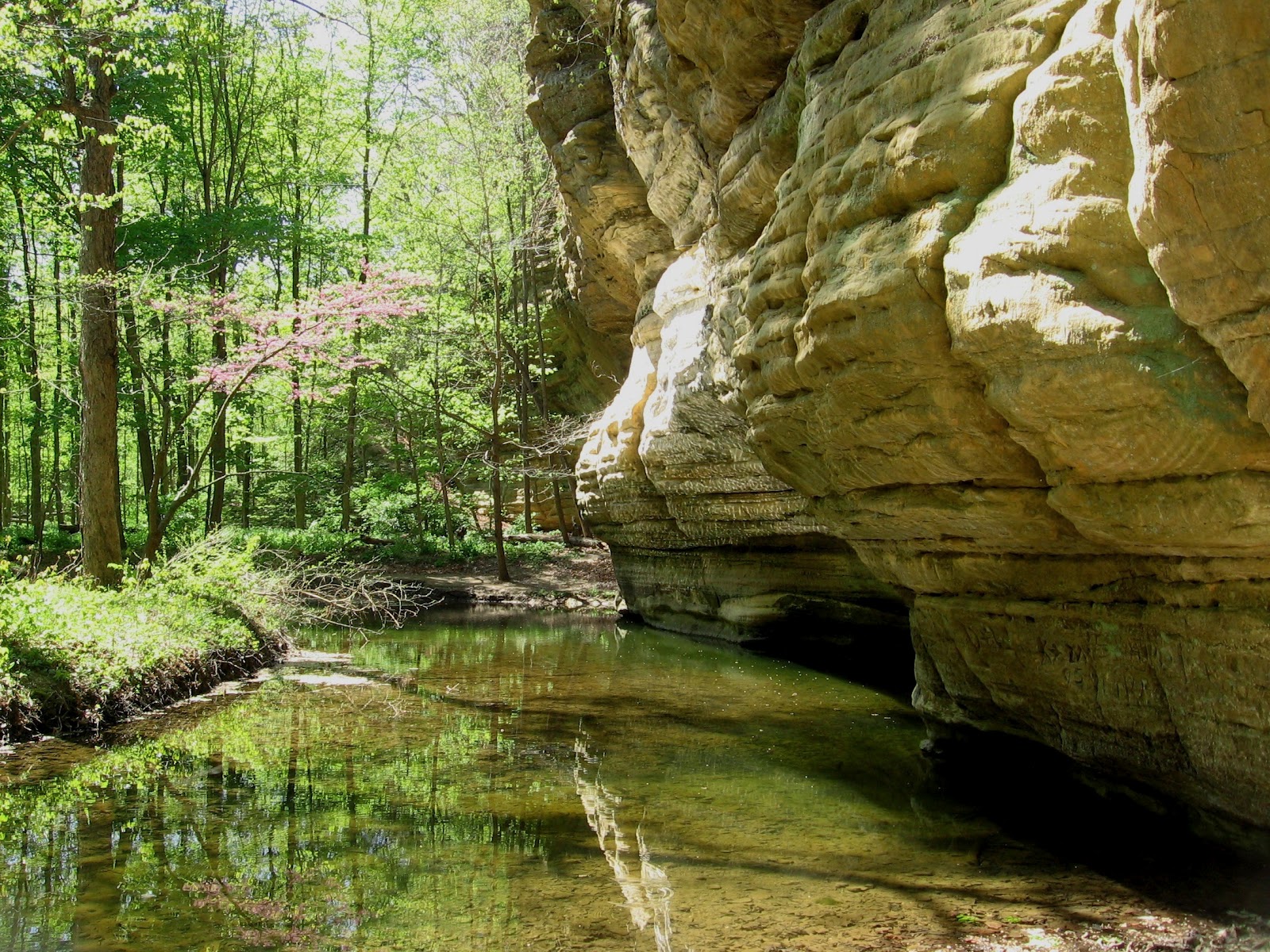 Photo Essay Starved Rock in Spring Gendler