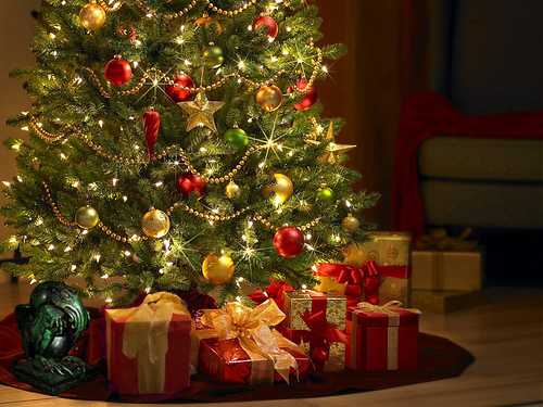 Wer Springt Denn Da Durch Den Stall Mit Liphi Durch Die