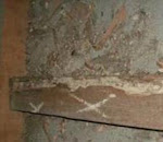 Evidence of Termite Tracks
