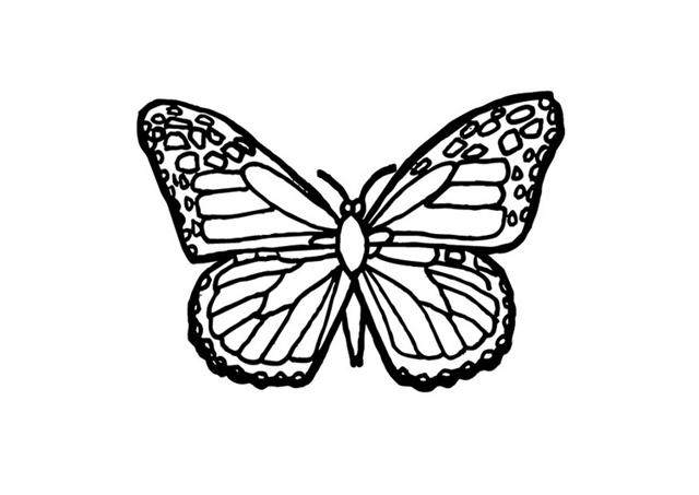 Butterfly Coloring Pages | Learn To Coloring