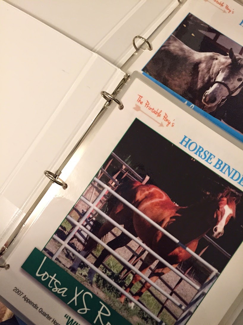 Free printable horse stall cards
