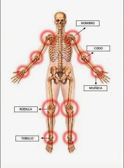 Funciones de las articulaciones de la rodilla