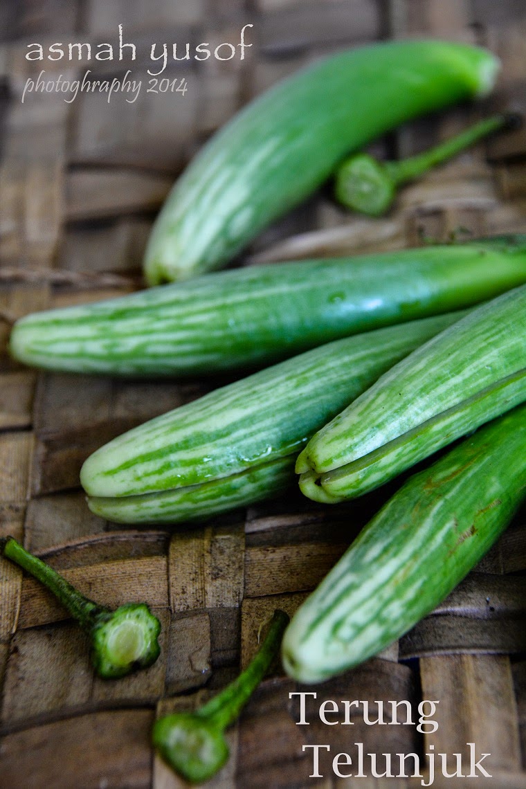 Asam Garam Terung Telunjuk Goreng Cili Padi Kaw2 Pedas Punye