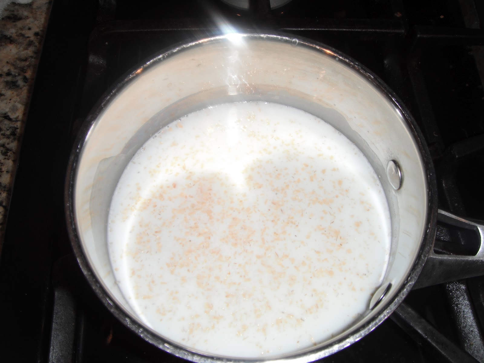 Dukan Diet Oat Bran Porridge!!! So easy so delicious! PARTY