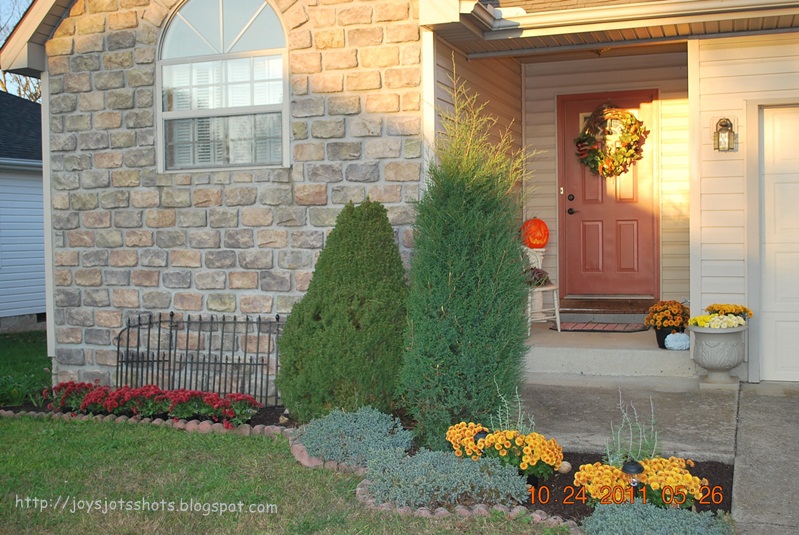 Joy's Jots, Shots & Whatnots Don't Throw Away Those Mums