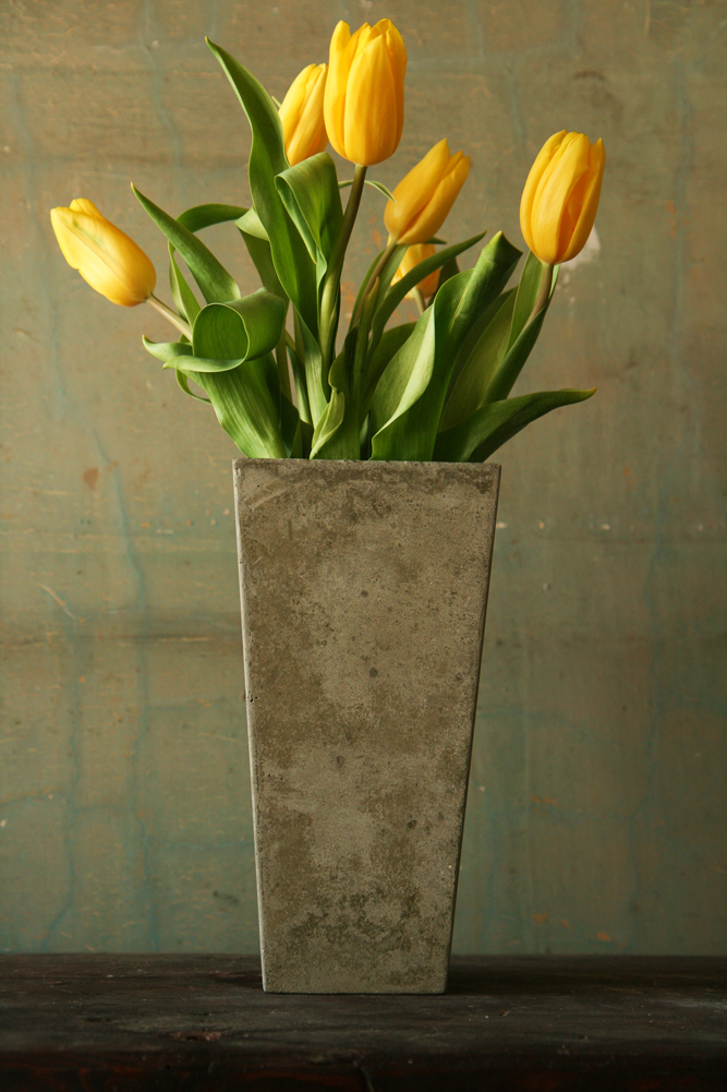 obelisk: Concrete Vase.