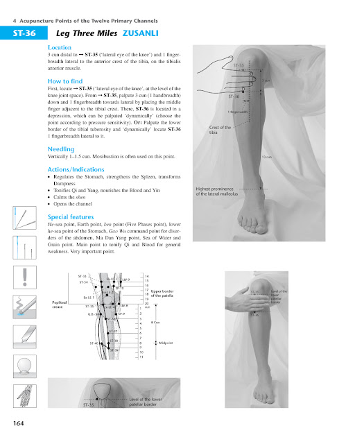 Acupuncture Masters Acupuncture Points Database Stomach channel