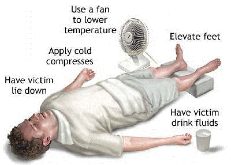 What should you do in case of a heart attack? First Aid for a Heart