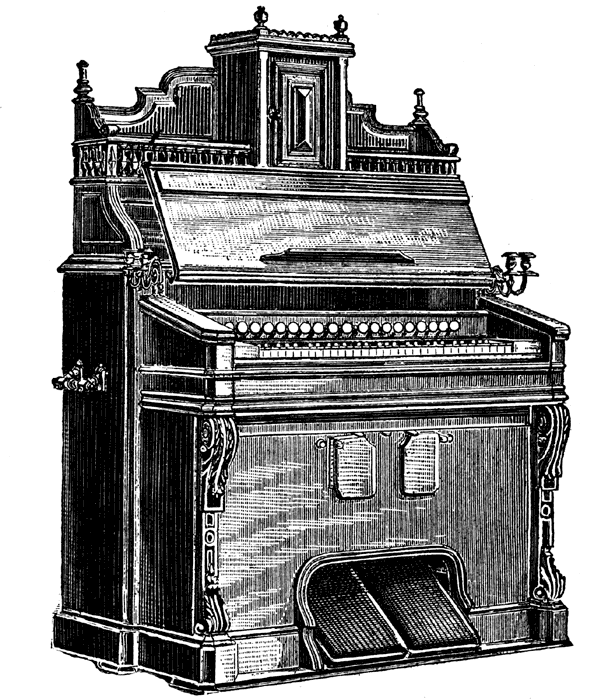 New York LifeDay by Day A SOUTH AFRICAN FARM in the 1950's