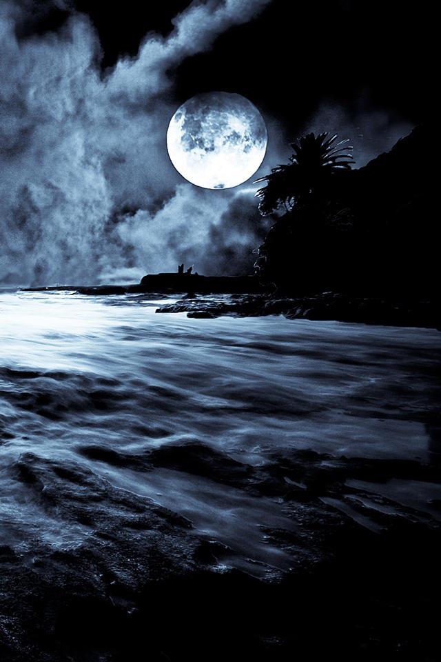 dark moonlight taikibad dark moonlight taikibad