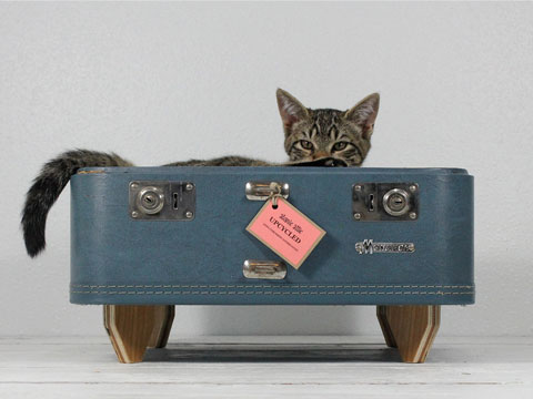 Mohpahpoh Kreasi Unik 15 Tempat Tidur Kucing