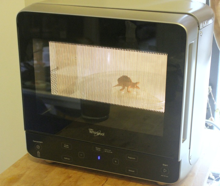 http://1.bp.blogspot.com/-Tm0cWTku6WI/U_EMv434qtI/AAAAAAAAFxM/3YCgjEVrCtE/s1600/tiniest-microwave-05.jpg