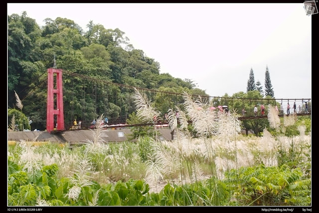 嘉義縣竹崎鄉親水公園萬竹博覽館-全新景點花仙子-天空步道啟用-千禧橋-弘景橋