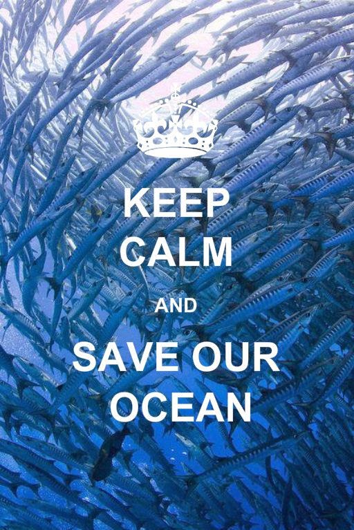 man and ocean essay man and ocean essay