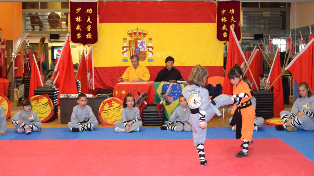 Clases y Cursos de Artes Marciales y Cultura China - Kung-Fu Master Senna.
